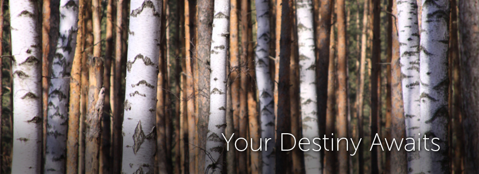 Your Destiny Awaits